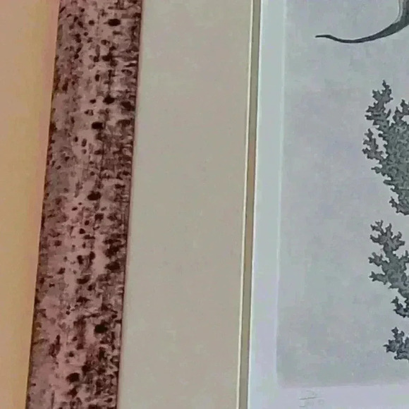 Leo P Donahue-"Unicornfish" Print 174/350 - Picture 6 of 6